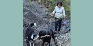 FB_IMG_1697007724276