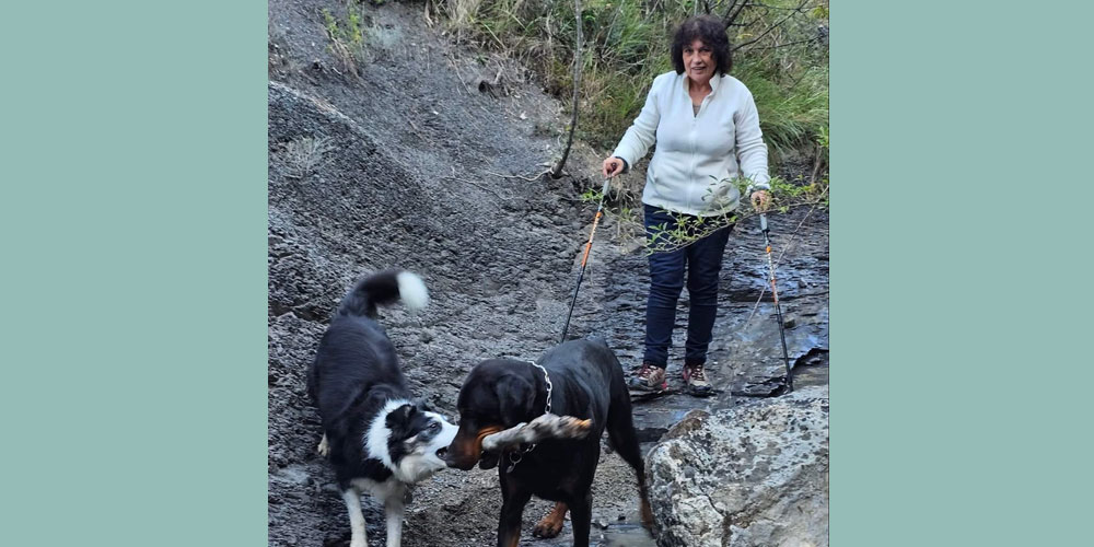 FB_IMG_1697007724276