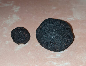 PXL_20231231_124502350