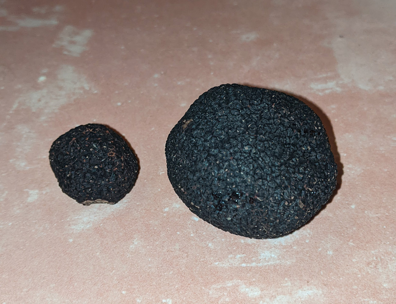 PXL_20231231_124502350