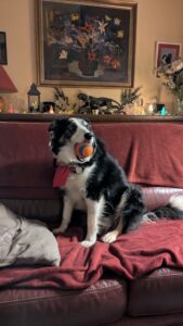 PXL_20251231_164958873.NIGHT